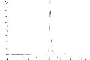 The purity of Mouse GM-CSF R alpha is greater than 95 % as determined by SEC-HPLC. (CSF2RA Protein (AA 30-327) (His tag))