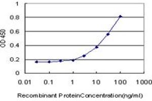 Detection limit for recombinant GST tagged RAB7L1 is approximately 1ng/ml as a capture antibody. (RAB7L1 抗体  (AA 1-203))