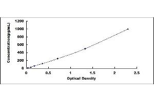 Typical standard curve (Kallikrein 13 ELISA 试剂盒)