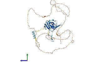 Protein Structure (PS) image for Coilin (COIL) (AA 1-570) protein (His tag) (ABIN7557533)