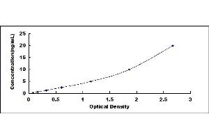 Typical standard curve (OB Cadherin ELISA 试剂盒)