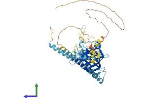 Protein Structure (PS) image for Peter Pan Homolog (PPAN) (AA 1-473) protein (His tag) (ABIN7544020)
