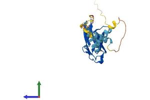 AlphaFold protein structure predicition of Mouse Recombinant Mospd1 Protein, UniprotID Q8VEL0