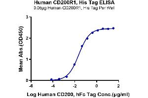 Immobilized Human CD200 R1,His Tag at 0. (CD200R1 Protein (His-Avi Tag))