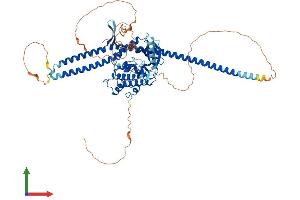 Protein Structure (PS) image for Tousled-Like Kinase 2 (TLK2) (AA 1-718) protein (His tag) (ABIN7562470)