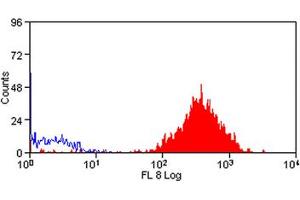 Image no. 1 for anti-CD48 (CD48) antibody (APC) (ABIN576845) (CD48 抗体  (APC))