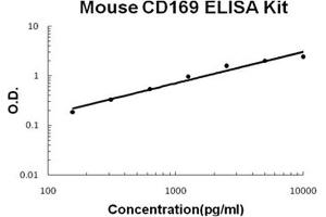 Mouse CD169/SIGLEC-1 PicoKine ELISA Kit standard curve (Sialoadhesin/CD169 ELISA 试剂盒)