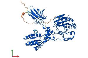 AlphaFold protein structure predicition of Human Recombinant PNKP Protein, UniprotID Q96T60