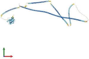 AlphaFold protein structure predicition of Human Recombinant HOOK3 Protein, UniprotID Q86VS8