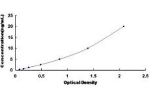 Typical standard curve (UGGT1 ELISA 试剂盒)