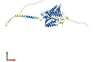 Protein Structure (PS) image for Phospholipase D Family, Member 5 (PLD5) (AA 1-536) protein (His tag) (ABIN7557245)