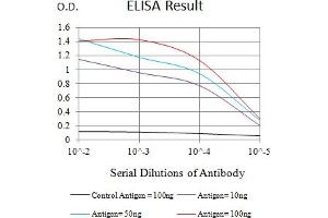 Black line: Control Antigen (100 ng),Purple line: Antigen (10 ng), Blue line: Antigen (50 ng), Red line:Antigen (100 ng) (JAG1 抗体  (AA 47-212))