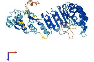AlphaFold protein structure predicition of Human Recombinant PRAMEF19 Protein, UniprotID Q5SWL8