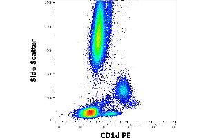 Flow cytometry surface staining pattern of human peripheral whole blood stained using anti-human CD1d (51. (CD1d 抗体  (PE))