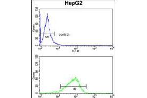 Flow cytometry analysis of HepG2 cells (bottom histogram) compared to a negative control cell (top histogram). (GPD1 抗体  (N-Term))