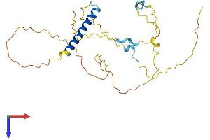 AlphaFold protein structure predicition of Human Recombinant INCA1 Protein, UniprotID Q0VD86