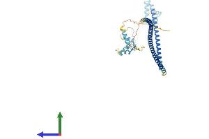 AlphaFold protein structure predicition of Human Recombinant CRACR2B Protein, UniprotID Q8N4Y2