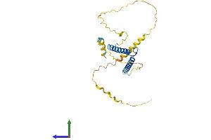 Protein Structure (PS) image for Achaete-Scute Complex Homolog 1 (Drosophila) (ASCL1) (AA 1-236) protein (His tag) (ABIN7552451)