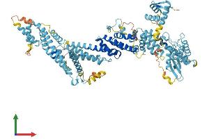 Protein Structure (PS) image for Anaphase Promoting Complex Subunit 2 (ANAPC2) (AA 1-822) protein (His tag) (ABIN7552055)