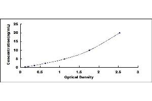 Typical standard curve (MTOR ELISA 试剂盒)