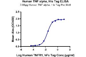 ELISA image for Tumor Necrosis Factor alpha (TNF alpha) (AA 77-233) protein (His-Avi Tag) (ABIN7275766)