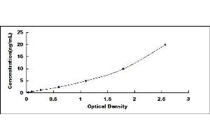 Typical standard curve (GLUT1 ELISA 试剂盒)