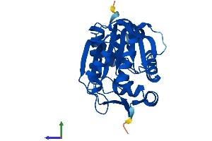 Protein Structure (PS) image for Nicotinamide N-Methyltransferase (NNMT) (AA 1-264) protein (His tag) (ABIN7562502)