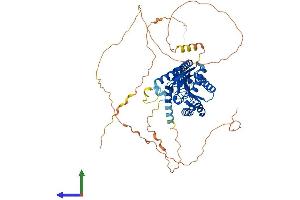 Protein Structure (PS) image for Calcium Channel, Voltage-Dependent, beta 1 Subunit (CACNB1) (AA 1-597) protein (His tag) (ABIN7559751)