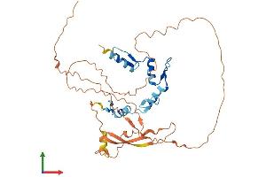 Protein Structure (PS) image for YY2 Transcription Factor (YY2) (AA 1-372) protein (His tag) (ABIN7544826)