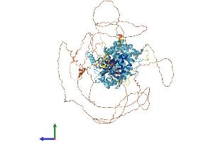 Protein Structure (PS) image for Minichromosome Maintenance Deficient 9 (MCM9) (AA 1-1143) protein (His tag) (ABIN7554482)