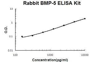 Rabbit BMP-5 PicoKine ELISA Kit standard curve