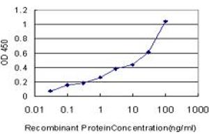 Detection limit for recombinant GST tagged EXOC7 is approximately 1ng/ml as a capture antibody. (EXOC7 抗体  (AA 586-684))