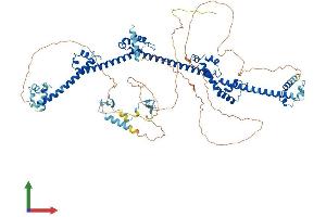 AlphaFold protein structure predicition of Mouse Recombinant Prpf40b Protein, UniprotID Q80W14