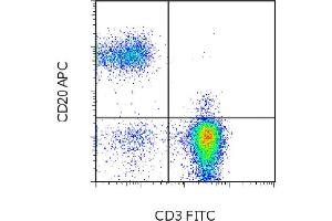 Flow Cytometry (FACS) image for anti-Membrane-Spanning 4-Domains, Subfamily A, Member 1 (MS4A1) antibody (APC) (ABIN2144232) (CD20 抗体  (APC))