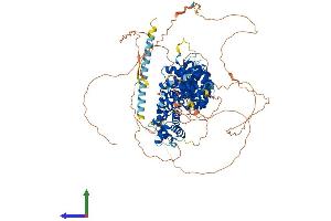 Protein Structure (PS) image for Catenin (Cadherin-Associated Protein), delta 1 (CTNND1) (AA 1-938) protein (His tag) (ABIN7563103)