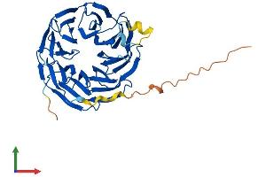 Protein Structure (PS) image for WD Repeat Domain 86 (WDR86) (AA 1-376) protein (His tag) (ABIN7545193)