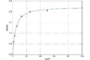 A typical standard curve (CFP ELISA 试剂盒)