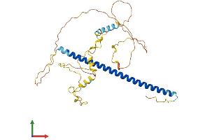 Protein Structure (PS) image for Jun Proto-Oncogene (JUN) (AA 1-334) protein (His tag) (ABIN7562746)