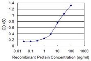Detection limit for recombinant GST tagged NAV2 is 0. (NAV2 抗体  (AA 1878-1973))