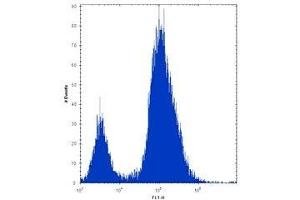 Alkaline Phosphatase antibody flow cytometric analysis of 293 cells (right histogram) compared to a negative control (left histogram). (ALPL 抗体  (AA 217-246))