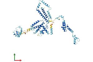 AlphaFold protein structure predicition of Mouse Recombinant Sf3a3 Protein, UniprotID Q9D554