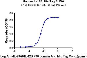 ELISA image for Interleukin 12 beta (IL12B) (AA 23-328) protein (His tag) (ABIN7275396)