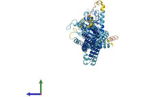 Protein Structure (PS) image for Myxovirus Resistance Protein 1 (MX1) (AA 1-631) protein (His tag) (ABIN7562782)