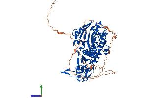 Protein Structure (PS) image for Chromosome 14 Open Reading Frame 169 (C14orf169) (AA 1-641) protein (His tag) (ABIN7554757)