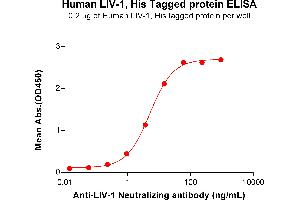 ELISA image for Solute Carrier Family 39 (Zinc Transporter), Member 6 (SLC39A6) (AA 29-325) protein (His tag) (ABIN7490970)