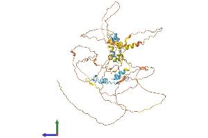 AlphaFold protein structure predicition of Mouse Recombinant Ikzf4 Protein, UniprotID Q8C208 (IKZF4 Protein (AA 1-586) (His tag))