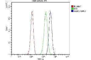 Flow Cytometry analysis of 293T cells using anti-IKK beta antibody (ABIN3042734).