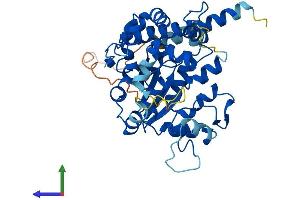 AlphaFold protein structure predicition of Human Recombinant CHST1 Protein, UniprotID O43916