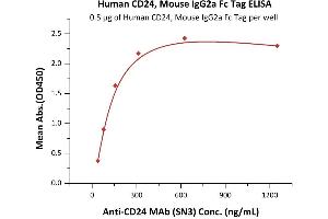Immobilized Human CD24, Mouse IgG2a Fc Tag (ABIN6951033,ABIN6952292) at 5 μg/mL (100 μL/well) can bind A MAb (SN3) with a linear range of 20-313 ng/mL (QC tested).
