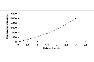 Typical standard curve (ICAM1 ELISA 试剂盒)